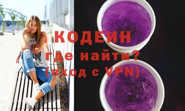 мдпв Каменка