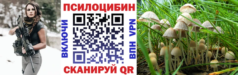 blacksprut ссылки  Красноуфимск  Псилоцибиновые грибы Psilocybe 