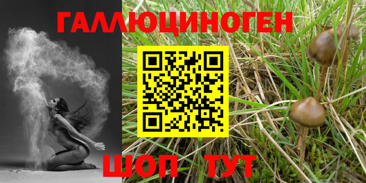 Псилоцибиновые грибы Psilocybine cubensis  Вход с VPN  Красноуфимск  Галлюциногенные грибы мицелий 